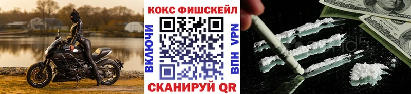 MEGA зеркало  как найти   Приморск  КОКАИН Fish Scale 