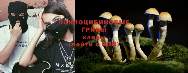 синтетический гашиш Шадринск