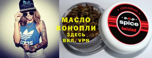 apvp Ельня