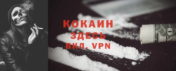 ALPHA-PVP Елизово