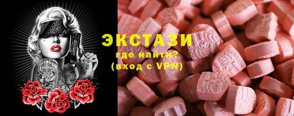 apvp Ельня