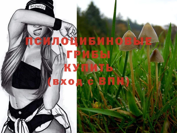 ALPHA-PVP Елизово