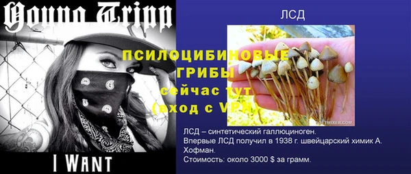 прущая мука Шарыпово