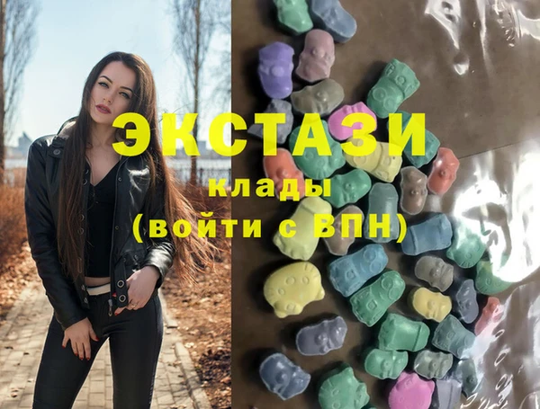 apvp Ельня